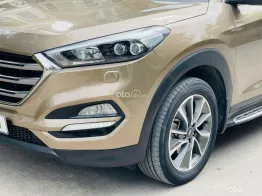 Xe không lỗi giá cực tốt