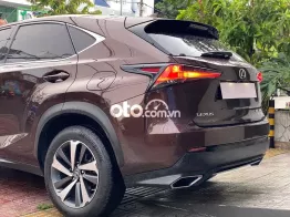 Lexus Nx300 cao cấp Thể Thao & Sang Trọng đk 2019