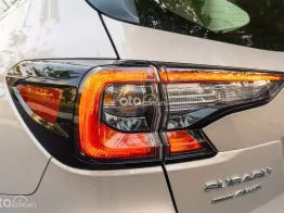 🎁 Giảm thêm khi LH: 0979 753 204 Mr Thắng