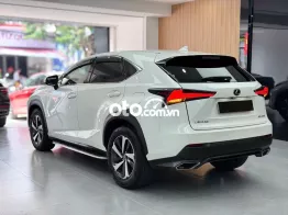 Lexus NX300 2017 - Xe 1 Chủ Từ Đầu