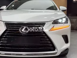 Lexus NX300 2017 - Xe 1 Chủ Từ Đầu