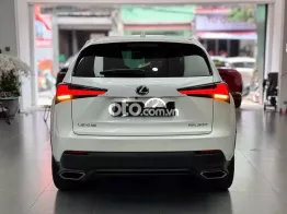 Lexus NX300 2017 - Xe 1 Chủ Từ Đầu