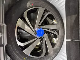 1 chủ, siêu lướt