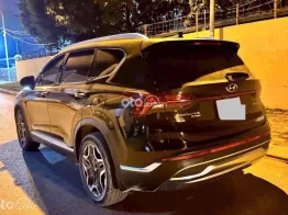 Màu đen biển phố cam kết