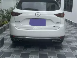 Xe trong nước máy xăng, 5 chỗ