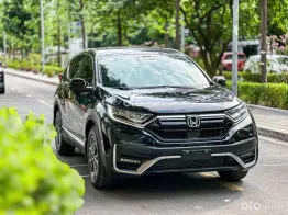 Xe đẹp tuyệt đối, mẫu SUV cực rộng rãi cho gia đình