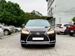 Xe gia đình sang trọng