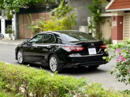 Xe của các sếp