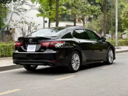 Xe của các sếp