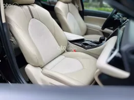 Xe của các sếp