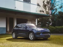 MỘT CHỦ TỪ ĐẦU OFTIONS 800 TRIỆU