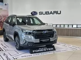 Nhập nguyên chiếc Nhật Bản