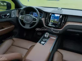 BH/BảoDưỡng Free 2028 - Bản Đủ-Hybrid