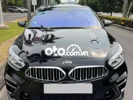 KIA Cerato 2019 2.0L AT Premium 5 chỗ số tự động