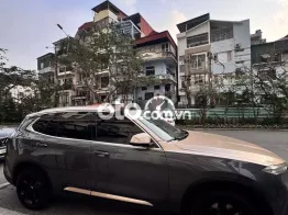 VinFast Lux SA2.0 2020 Xám vàng