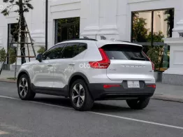BH/BảoDưỡng Free 2030 - Bản Đủ-Hybrid