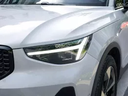 BH/BảoDưỡng Free 2030 - Bản Đủ-Hybrid