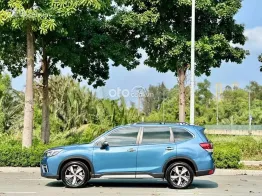 Xe cực mới, hỗ trợ vay cao
