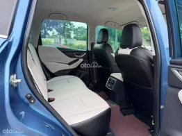 Xe cực mới, hỗ trợ vay cao