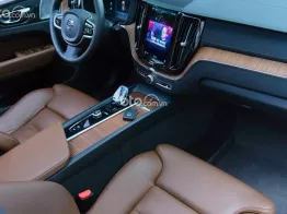 BH/BảoDưỡng Free 2028 -Bản Đủ-Hybrid