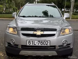 Siêu cọp 1 chủ