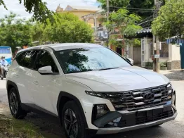 Xe như xe mới