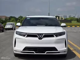 Xe điện 7 chỗ trần thép màu trắng 2024