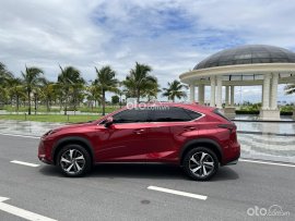 Lexus NX300T siêu lướt