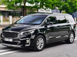 Sedona 2.2 DAT Luxury 2019