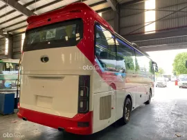 CruiZer 87-29