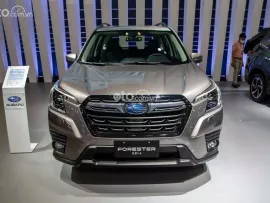 Ưu đãi đặc biệt: Giảm tiền mặt trực tiếp lên tới 230 triệu đồng