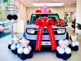 Ưu đãi 4%, ưu đãi tối đa 3% KH Vinclub, miễn phí sạc, miễn phí trước bạ