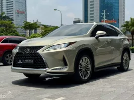 Xe cá nhân một chủ từ đầu