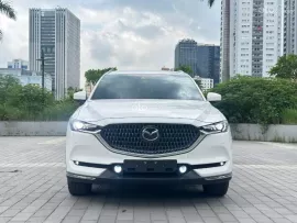 SUV 7 chỗ màu trắng sang trọng