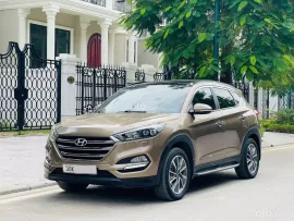 Xe không lỗi giá cực tốt