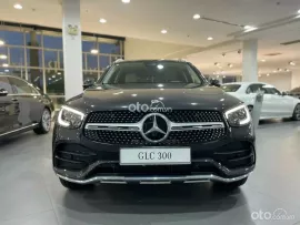 SUV cao cấp, odo thấp, nội thất như mới