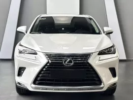 Model 2020 cực đẹp - Bảo dưỡng hãng đầy đủ