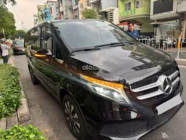 V250 Luxury 2021