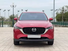 Xe cực đẹp bản deluxe