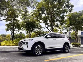 Xe gia đình đi cực giữ gìn, bản cao cấp