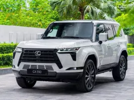 ĐẲNG CẤP TRÊN MỌI ĐỊA HÌNH