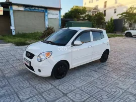 Tự động chính chủ