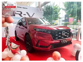 Bảo hành chính hãng lên tới 10 năm cho khách hàng