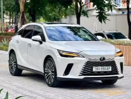 Bao check test - Bảo hành chính hãng dài