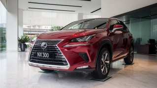 Cận cảnh xe Lexus NX 300 2020 đầu tiên về đại lý chính hãng tại Hà Nội