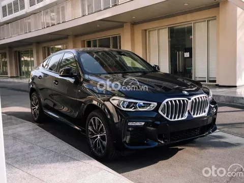 Xe BMW X6 1