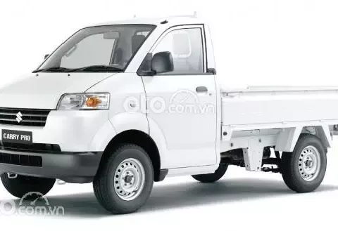 Giá xe Suzuki Carry cũ 1