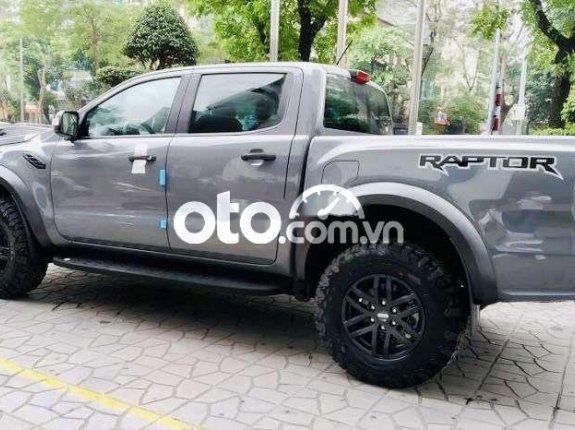Cần bán lại xe Ford Ranger Raptor năm sản xuất 2019, nhập khẩu nguyên chiếc