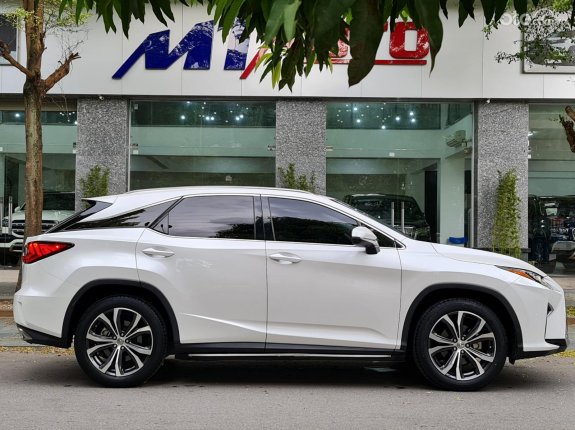 Biển thành phố vip