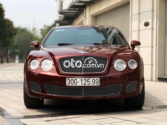 Bentley Continental Flying Spur model 08